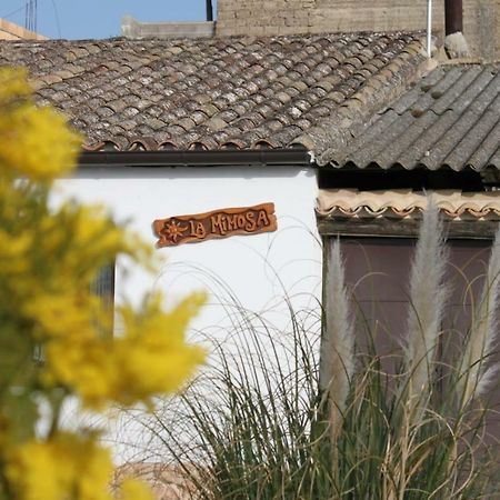 La Mimosa Villa Carcastillo Dış mekan fotoğraf