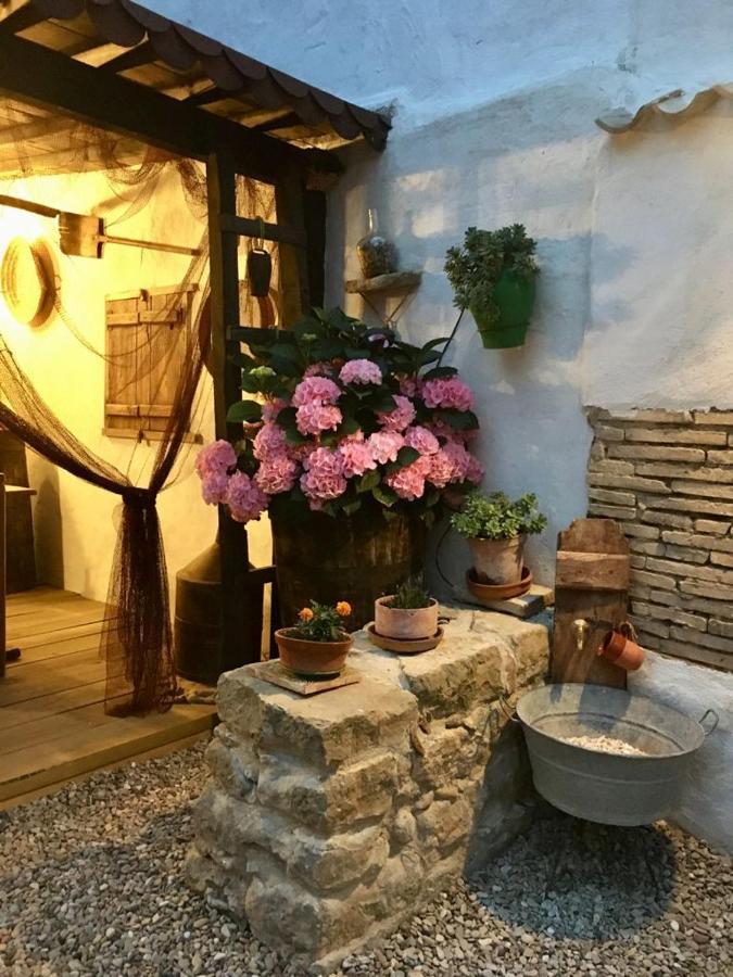 La Mimosa Villa Carcastillo Dış mekan fotoğraf