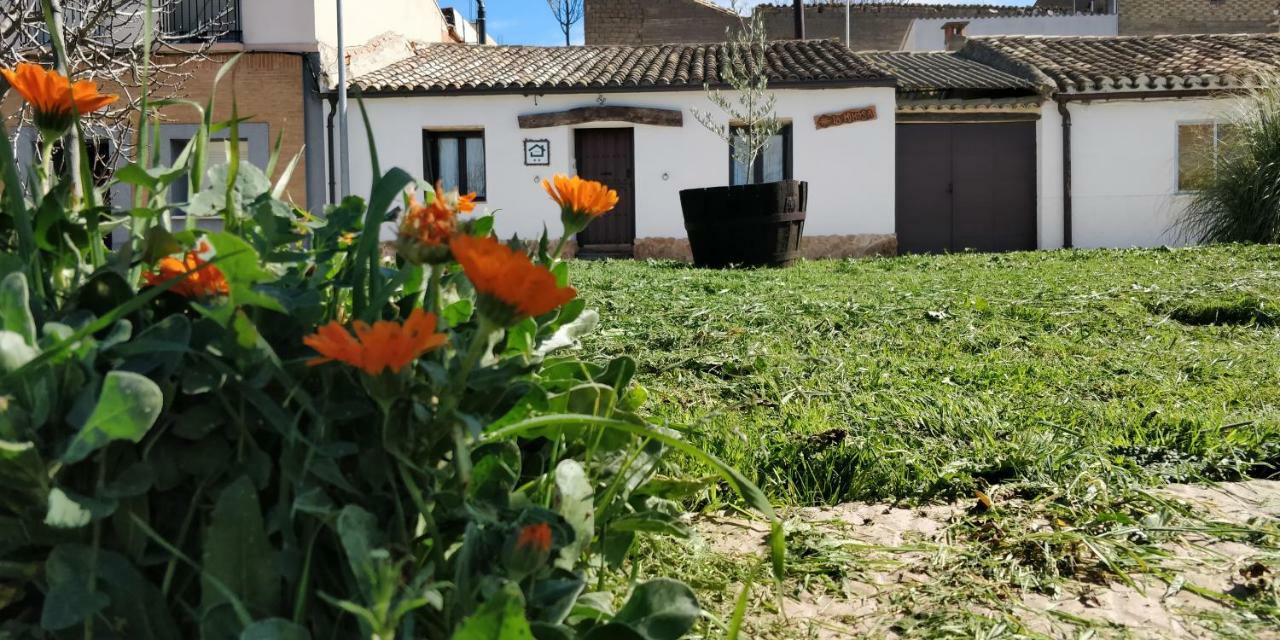 La Mimosa Villa Carcastillo Dış mekan fotoğraf