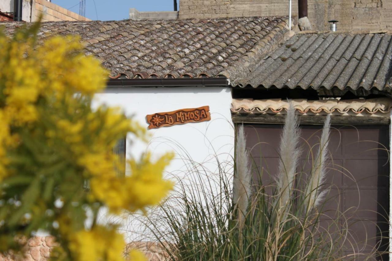 La Mimosa Villa Carcastillo Dış mekan fotoğraf